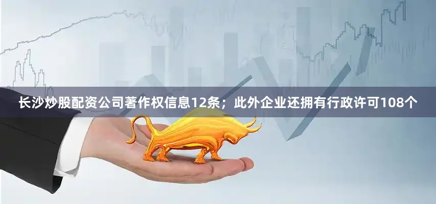 长沙炒股配资公司著作权信息12条；此外企业还拥有行政许可108个